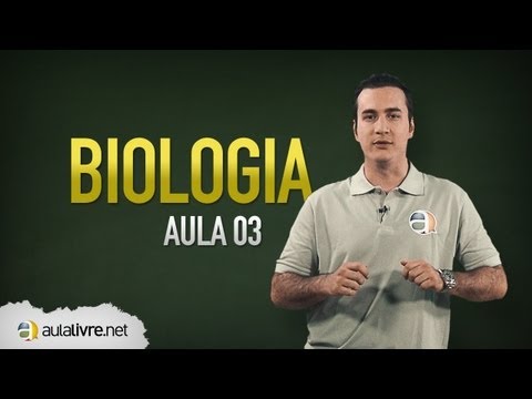 Biologia - Cadeias, teias e pirâmides alimentares