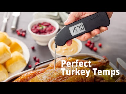 Perfect Turkey Temperature with Thermapen ONE