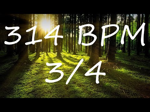 314 BPM 3/4 Claves Metronome