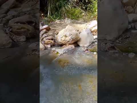 Aguas Termales ♨️ Jalisco Motatan 🏞️ Estado Trujillo 🇻🇪 #valera #venezuela#2daparte