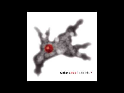 Celuta Red - I Don't Care
