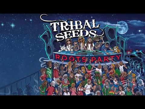 Tribal Seeds - Roots Party (Official Lyric Video)