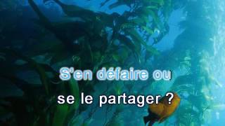 Maurane  Ca casse karaoke