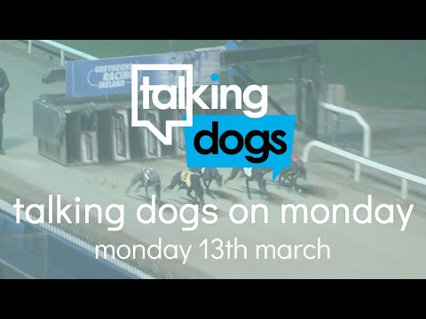Talking Dogs on Monday - 13th March 2023