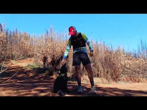 “Fundo Coihueco después del fuego 🔥 | Trail con la Negrita en Penco”