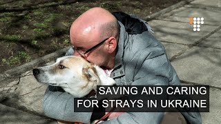 Saving and Caring for Strays in Ukraine