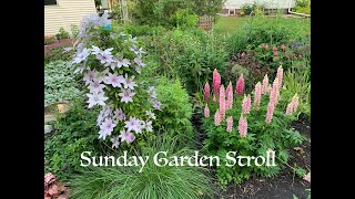Sunday Garden Stroll 6/2/24
