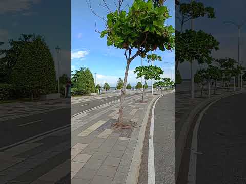 Malecón de Barranquilla Atlántico.