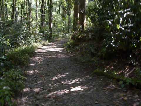 The trail to Kephart Prong Shelter is uphill most of the way and very rocky.