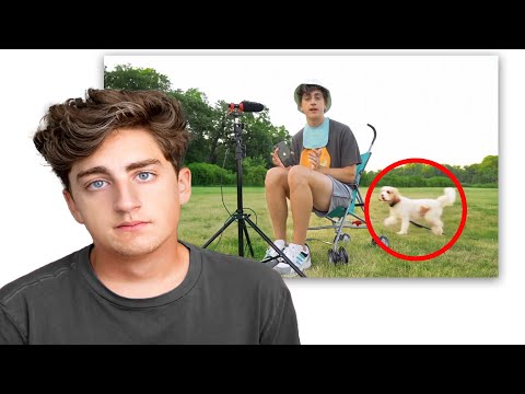 addressing the screaming dog controversy