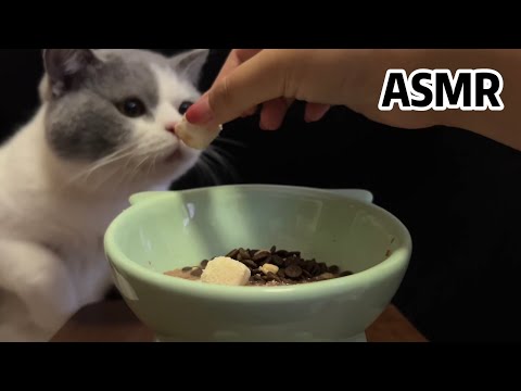 Cat Paige ASMR , Eating Crispy Sound