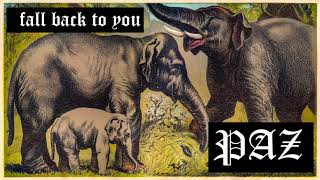 PAZ - Fall Back To You (feat. Nick Broadhurst) -- [OFFICIAL VIDEO]