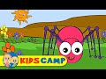 Itsy Bitsy Spider | Incy Wincy Spider and More ...