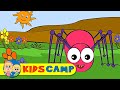 Itsy Bitsy Spider | Incy Wincy Spider and Nursery ...