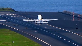 ✈️ Mesmerizing Takeoffs from Madeira Airport Runway 05! 🛫 #Aviation #Madeira