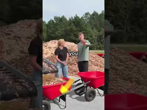 #loveit #silly #joshnasar #nasar #bekind #viralvideo #animals #animal #cat #cats