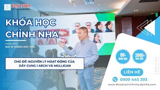 Học chỉnh nha online: Nguyên lý hoạt động của dây cung I arch và dây cung Mulligan