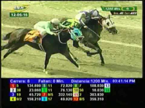 Resumen Domingo, 12 de Junio de 2016 - La Rinconada