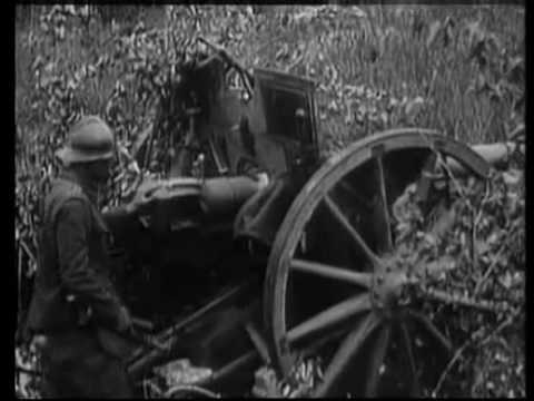 pourquoi la bataille de verdun est un exemple de violence de masse