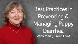 Webinar: Managing & Preventing Puppy Diarrhea