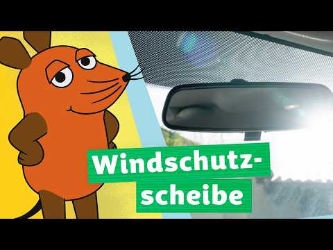 Woher kommen die Punkte auf der Windschutzscheibe? | Die Maus | WDR