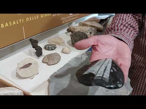GENONI. Alla scoperta del museo Parc, custode dei fossili del geositi di Duidduru.