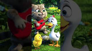 Download lagu Kucing bernyanyi bersama bebek dan ayam #kucing #catsong #catcute #duck #anakayamlucu #cuteduck mp3
