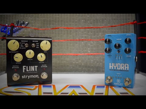 Strymon Flint Vs Keeley Hydra | on SWL!