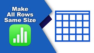 How to make all rows the same size in Apple Numbers (Spreadsheet) on Mac