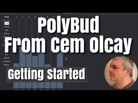 Cem Olcay PolyBud Multitrack Polyrhythmic AUv3 Midi sequencer - Getting Started