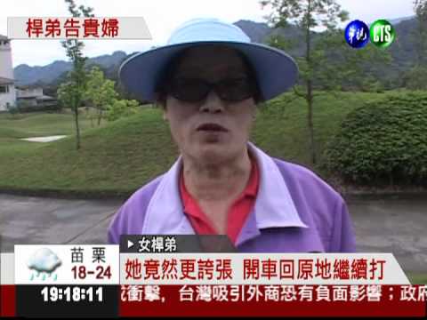 貴婦揮杆打傷人 只賠2千塊挨告