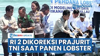 Detik-detik Gibran Diingatkan Prajurit TNI gegara Pakai Sarung Tangan Terbalik saat Panen Lobster