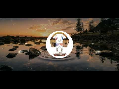 Focus Fire - Animus (feat. Super Square)