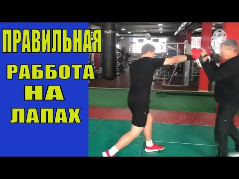 Работа на лапах в боксе комбинации. Лапа для отработки ударов. Работа на лапах в боксе. Бокс лапы удары. Тренировка на лапах бокс.