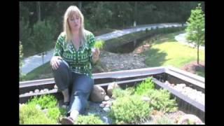 preview picture of video 'Sky Gardens - Greenroofs of the World: 4of4 - Rock Mill Park'