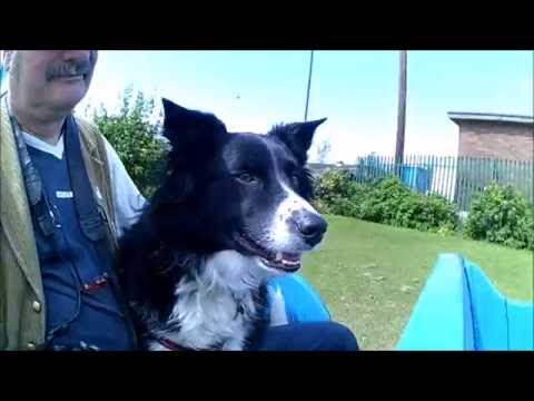 Rhyl Miniature Railway 03/07/2016