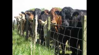 Little Bit Country - Cody Purvis OFFICIAL Version