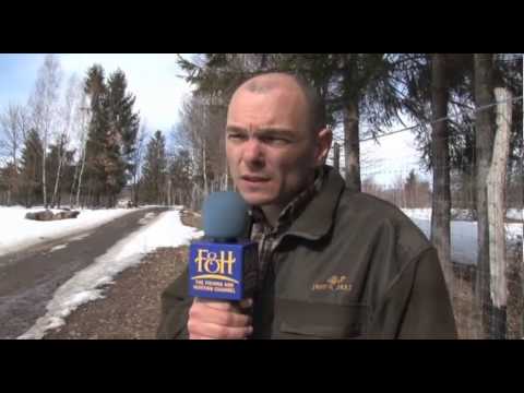 Destinatii vanatoresti Izvoare, jud Harghita