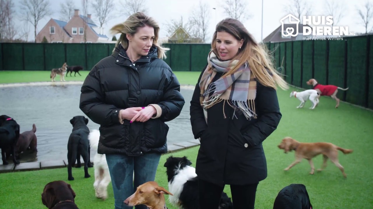 Huisdieren.nl en Anniek Winters : de gemoedstoestand van je hond
