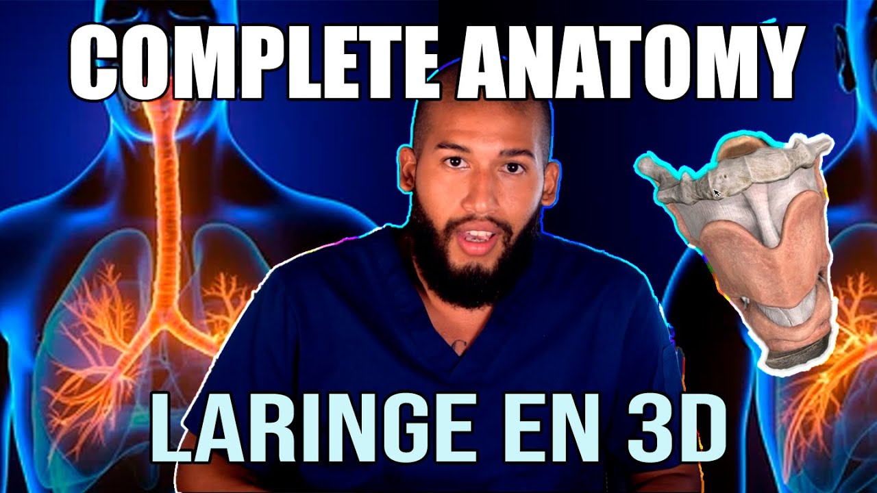 ANATOMÍA - Laringe en 3D junto a COMPLETE ANATOMY