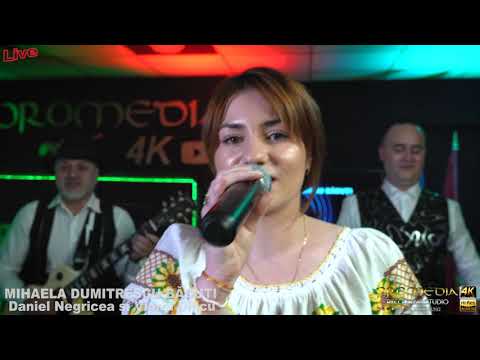 █▬█ █ ▀█▀ 2021-CEL MAI TARE COLAJ DE SARBE DE JOC- MIHAELA DUMITRESCU BADUTI, DANIEL NEGRICEA