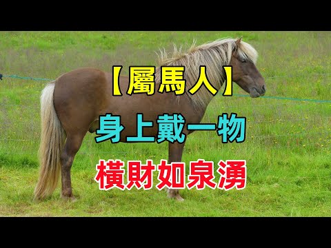 屬馬適合的樓層