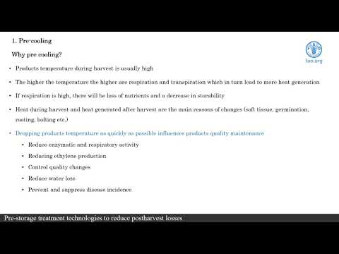 FAO training for Pacific SIDS - Postharvest management and technologies