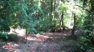 preview picture of video 'Bike the Rail Trail Florence SC'