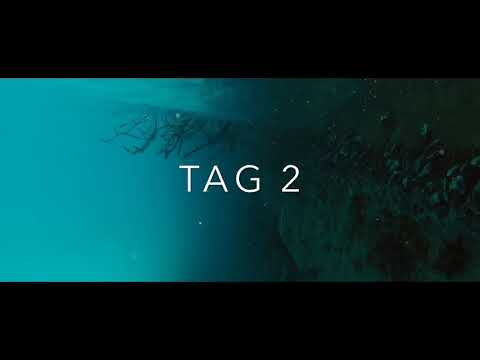 Psaikozet - Male Dives [FULL ALBUM]