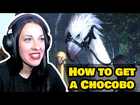FINAL FANTASY Walkthrough Part 20 - I GOT A CHOCOBO