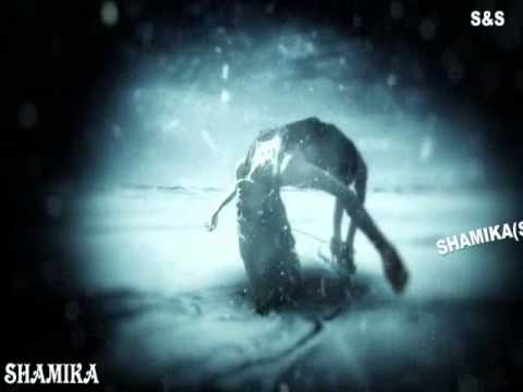 Saba Nowena Heena-Kasun Kalhara New Song