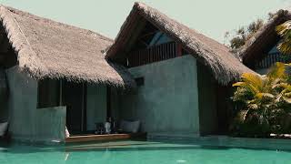 Download lagu DJ LEX   Her Coconut | Live Set in Bali mp3 Download lagu DJ LEX   Her Coconut | Live Set in Bali mp3