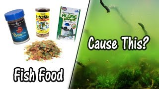 Does Fish Food Cause Algae? Sort of...