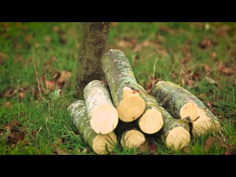 Logosol savbuk / kævleholder